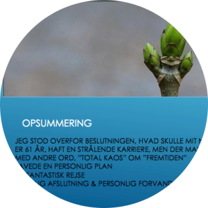 Mette's PPV eksamensopgave