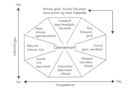 flow-model-fra-susans-afsluttende-opgave